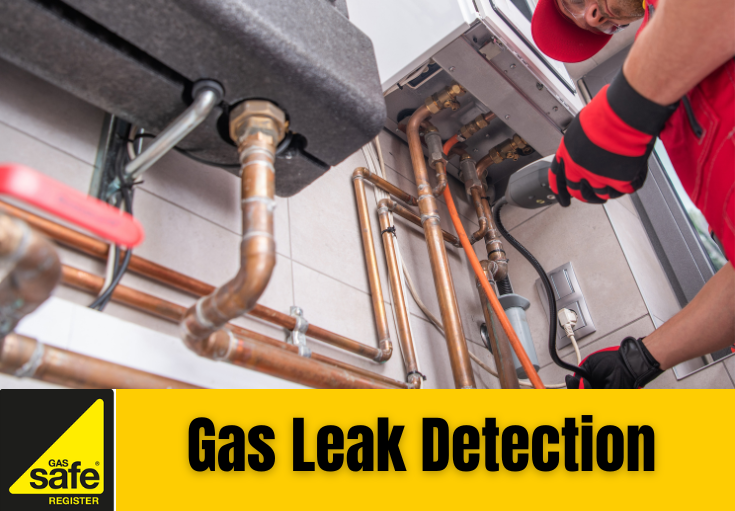 gas leak detection Darenth